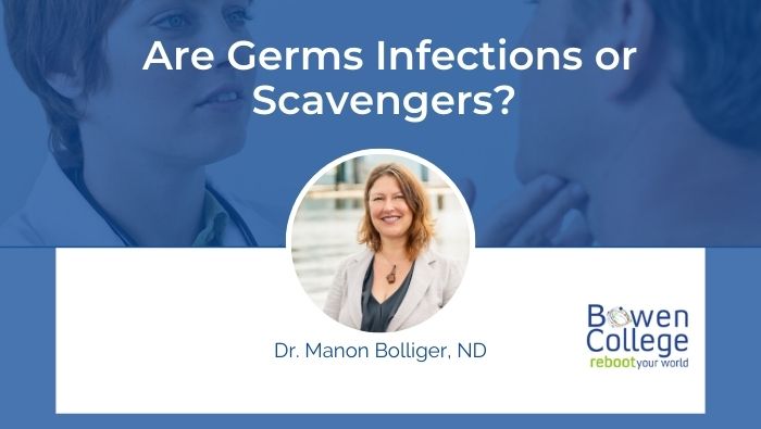 Are Germs Infections or Scavengers?