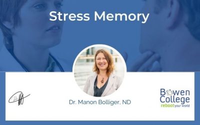 Stress Memory