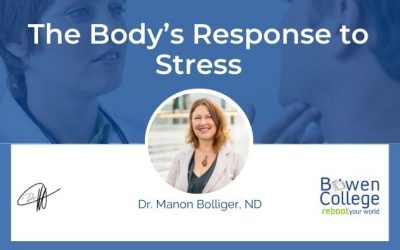 The Body’s Response to Stress