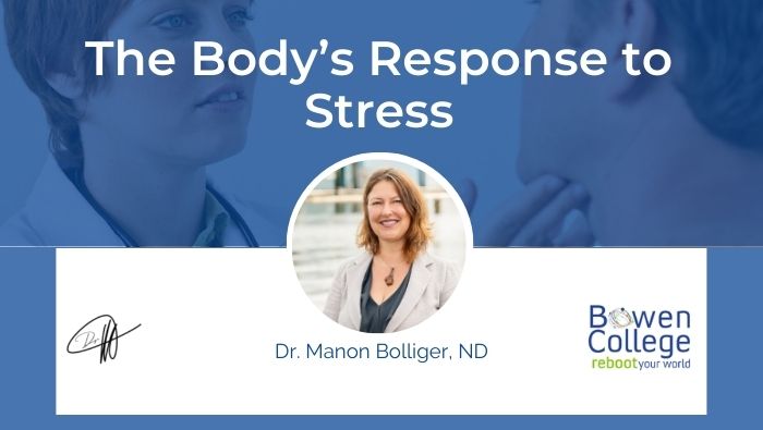 The Body’s Response to Stress