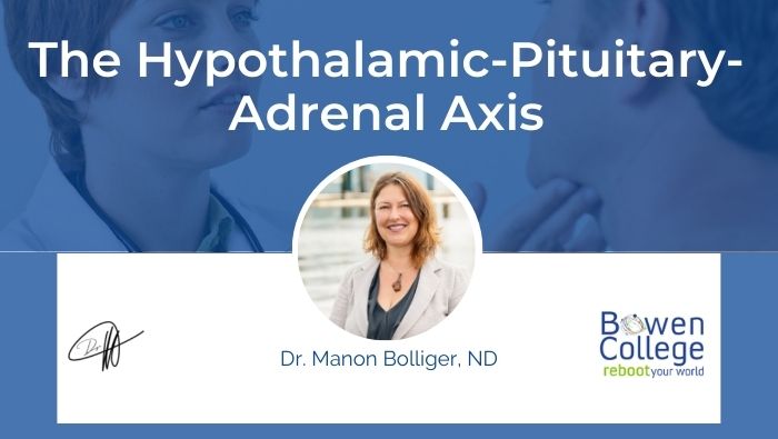 The Hypothalamic-Pituitary-Adrenal Axis