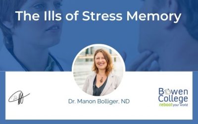The Ills of Stress Memory
