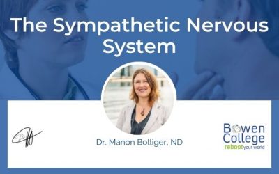 The Sympathetic Nervous System