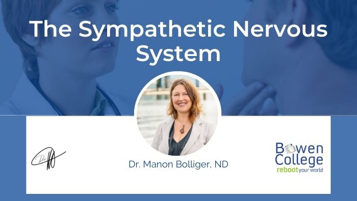The Sympathetic Nervous System