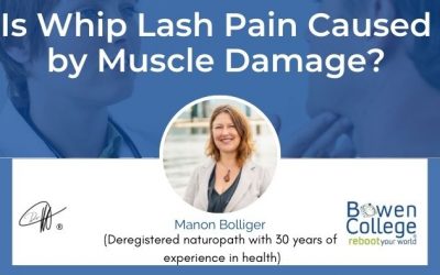 Is Whip Lash Pain Caused by Muscle Damage?