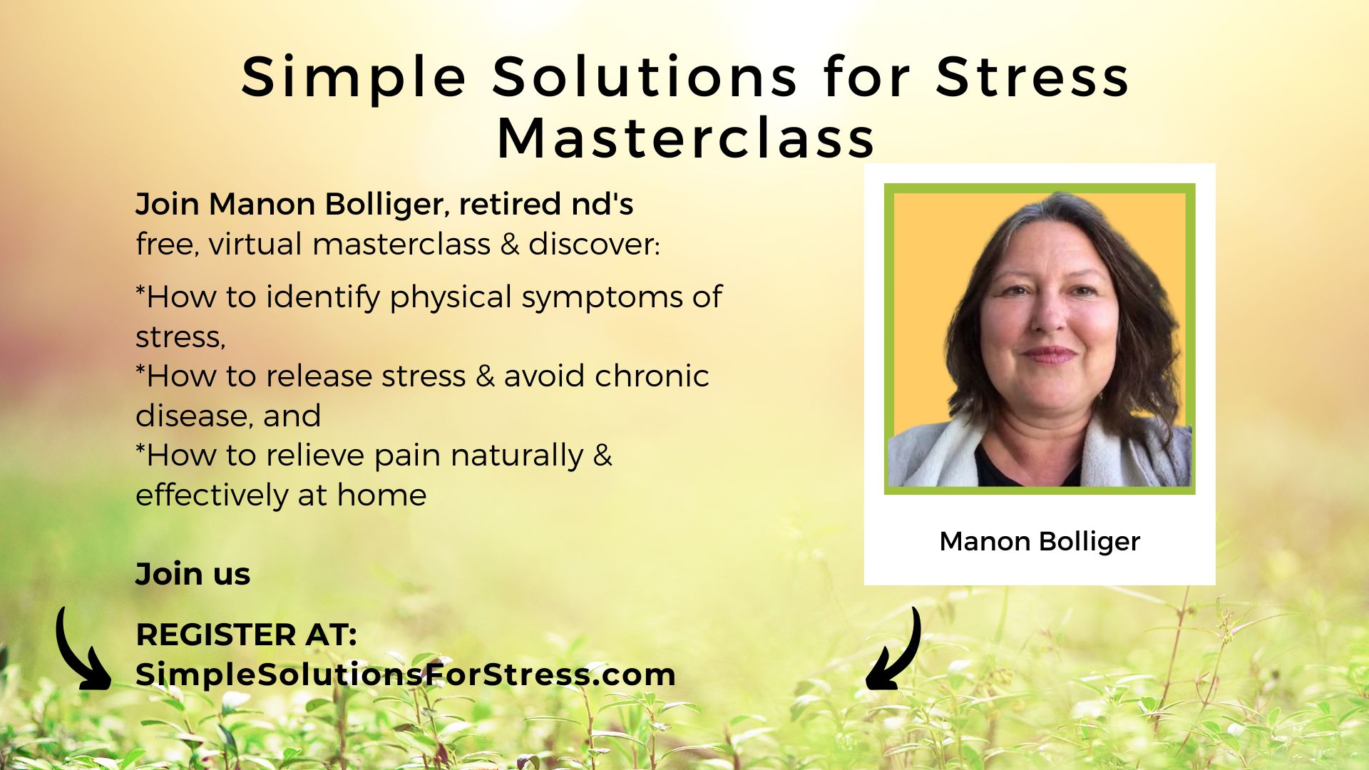 sss1 Simple Solutions for Stress